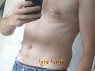 Igor_bash