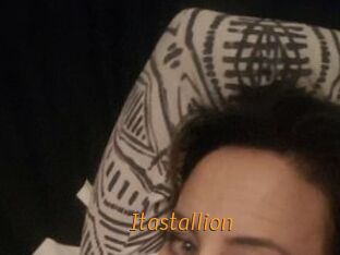 Itastallion