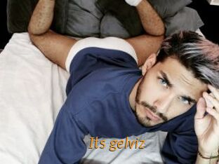 Its_gelviz