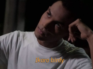 Ikaro_birdy