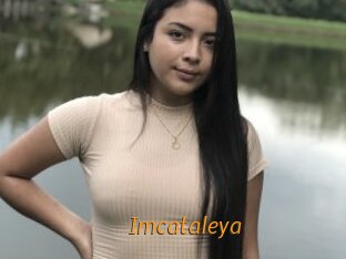 Imcataleya