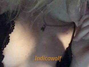 Indicawolf