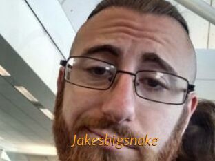 Jakesbigsnake