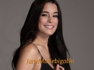 JaneMariebigatla