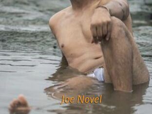 Joe_Novel