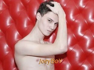JoeyB0Y