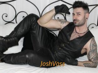 JoshVoss
