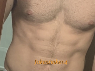 Jakesnake14