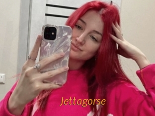 Jettagorse