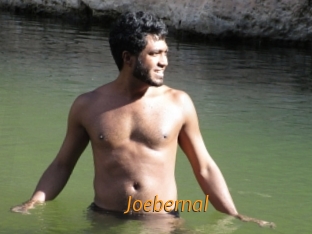 Joebernal