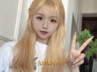 Junkocece