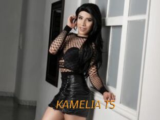 KAMELIA_TS