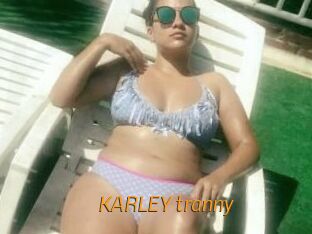 KARLEY_tranny