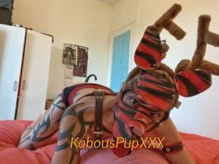 KabousPupXXX