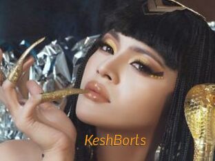KeshBorts