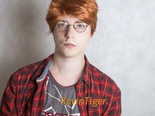 KevinTiger