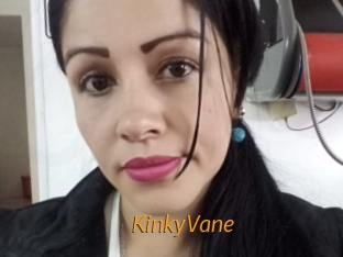 KinkyVane