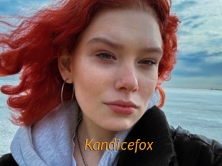 Kandicefox