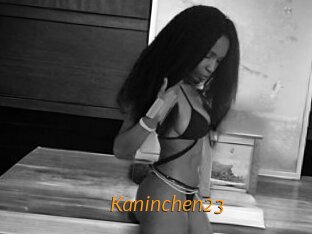 Kaninchen23