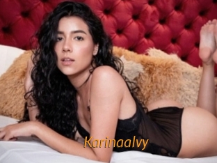 Karinaalvy