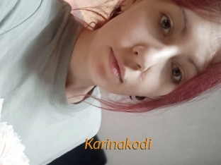 Karinakodi