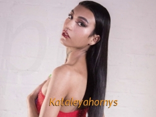 Kataleyahornys