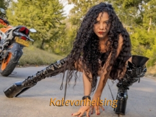katevanhelsing Porn University
