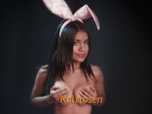 Kattrosen