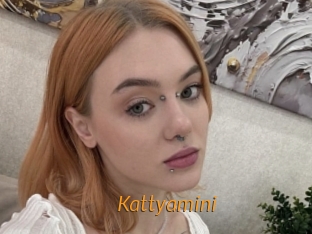 Kattyamini
