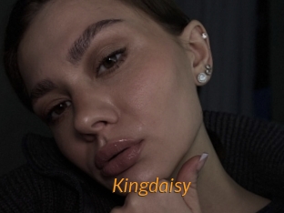 Kingdaisy