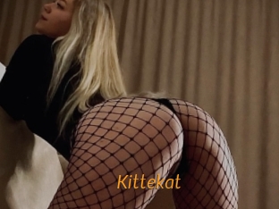 Kittekat