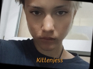 Kittenjess