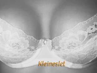 Kleineslet