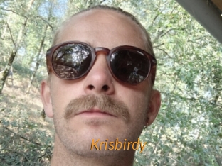 Krisbirdy