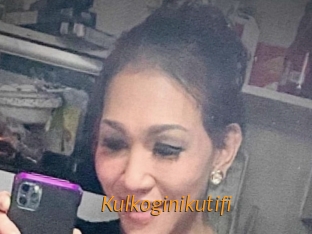 Kulkoginikutifi