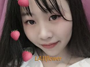 LAIlflower