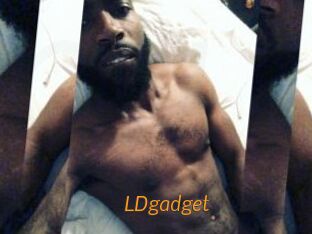 LDgadget