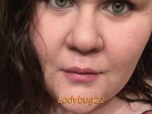 Ladybug22