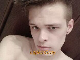 LapkinGray