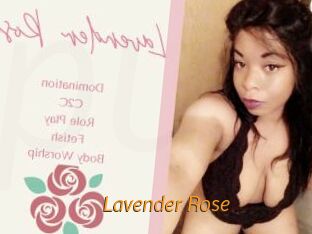 Lavender_Rose