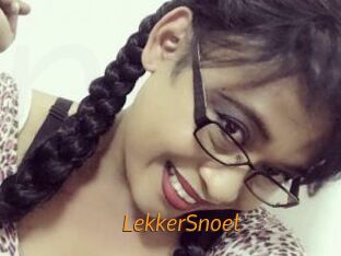 LekkerSnoet Porn University