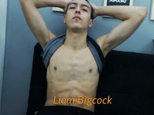 Liam_Bigcock