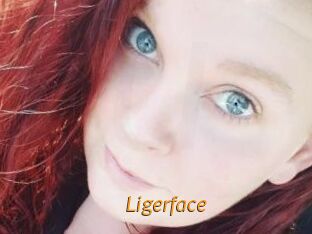 Ligerface