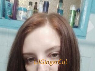 LilGingerCat