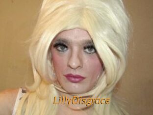 LillyDisgrace