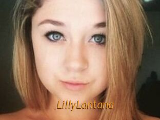 LillyLantana