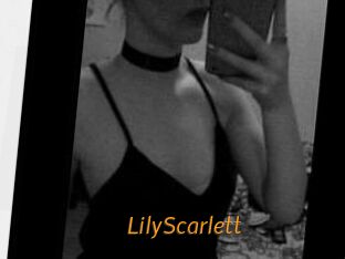 Lily_Scarlett