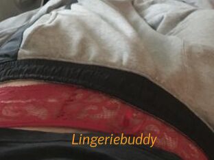 Lingeriebuddy