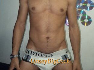 LinseyBigCock Porn University
