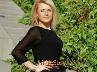 LittleSusy